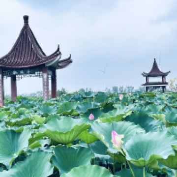 評論圖片 2
