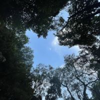 評論圖片 7