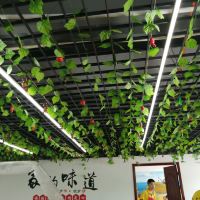 評論圖片 3