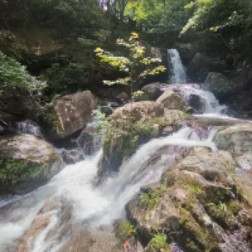 評論圖片 5