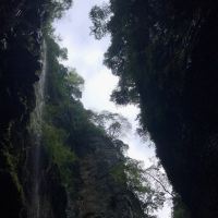 評論圖片 8