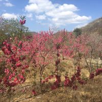 評論圖片 7