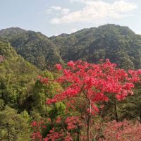評論圖片 8