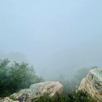 評論圖片 3