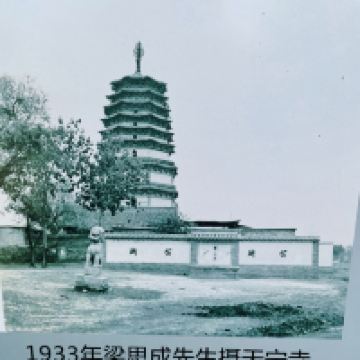 評論圖片 6