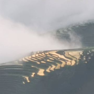評論圖片 4