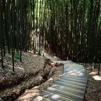 評論圖片 5