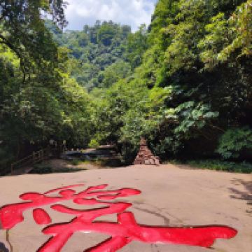 評論圖片 4