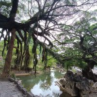 評論圖片 2