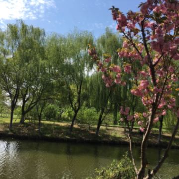 評論圖片 5