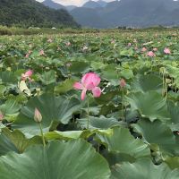 評論圖片 6