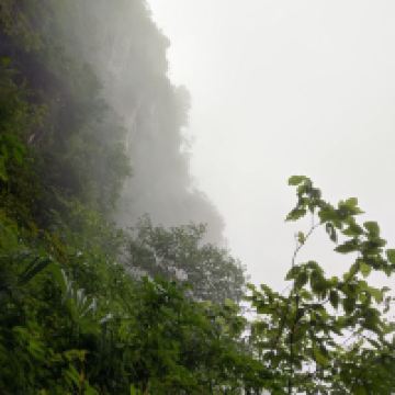 評論圖片 5