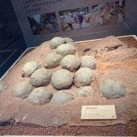 評論圖片 4