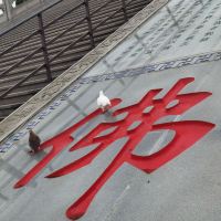 評論圖片 3