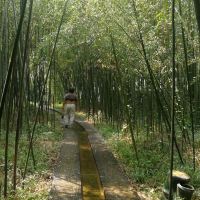 評論圖片 7