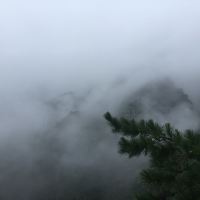 評論圖片 4