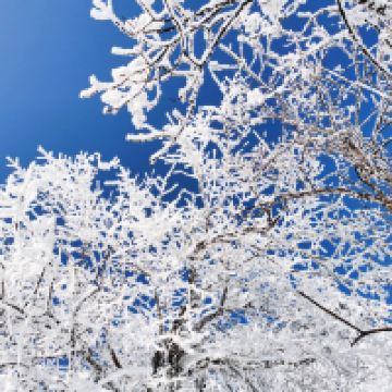 評論圖片 6