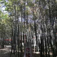 評論圖片 2