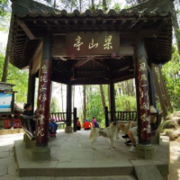 評論圖片 7