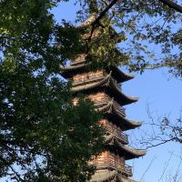 評論圖片 5