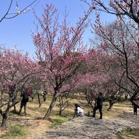 評論圖片 4