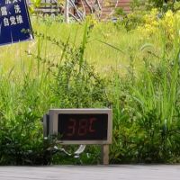 評論圖片 1