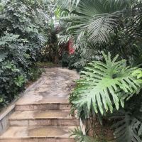 評論圖片 5