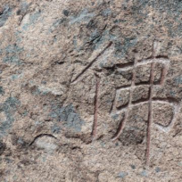 評論圖片 6