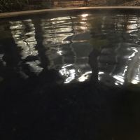 評論圖片 3