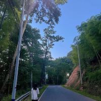 評論圖片 1