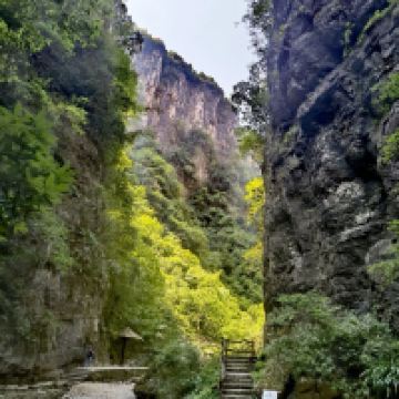 評論圖片 7