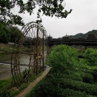 評論圖片 5