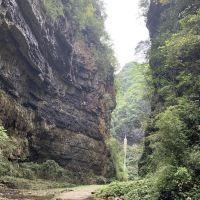評論圖片 1