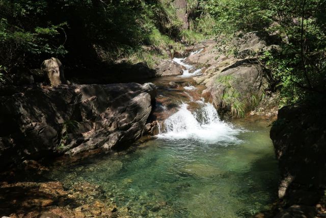 大奇山國家森林公園