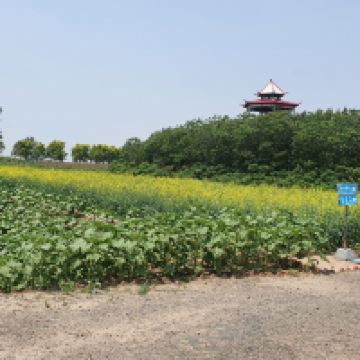 評論圖片 7