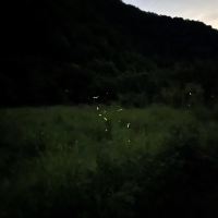 評論圖片 2