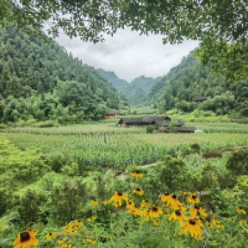 評論圖片 7