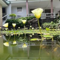 評論圖片 2