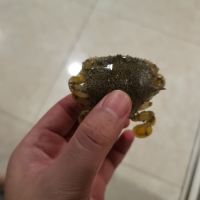 評論圖片 6