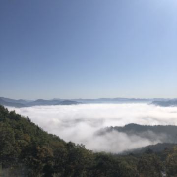 評論圖片 3