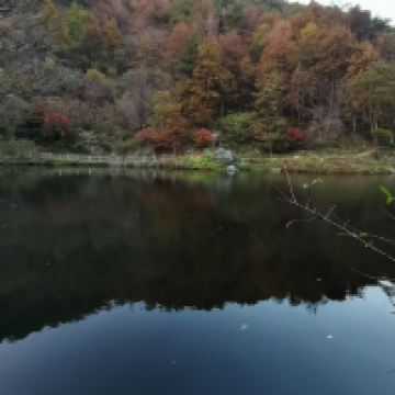 評論圖片 1