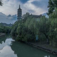 評論圖片 8