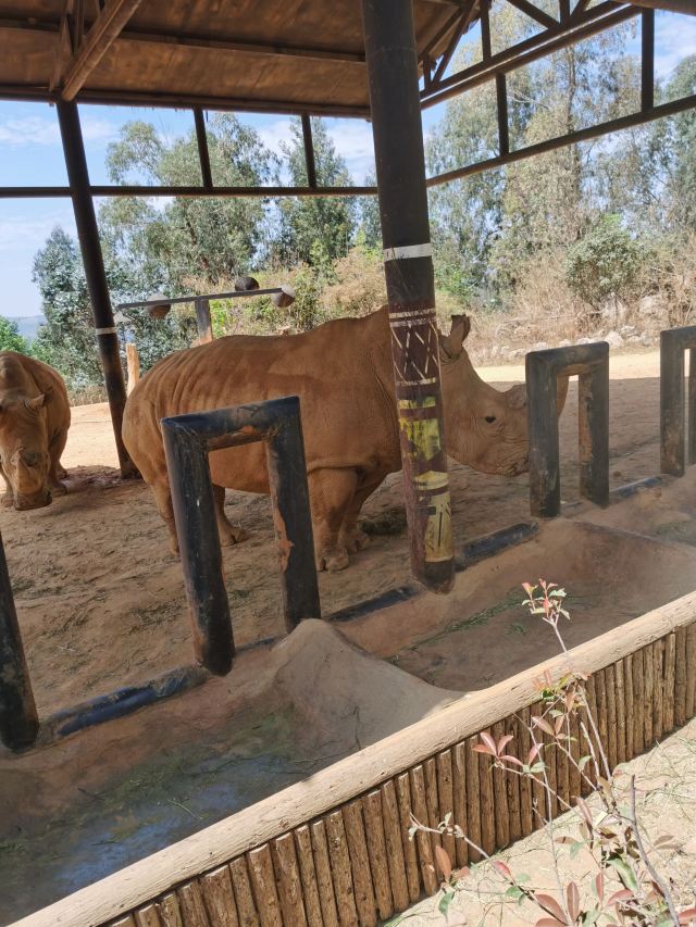 雲南野生動物園