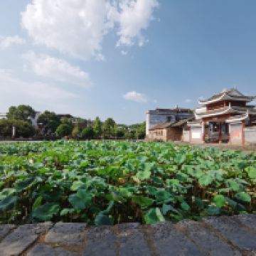評論圖片 1