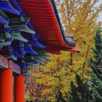 評論圖片 5