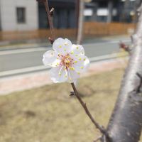 評論圖片 2