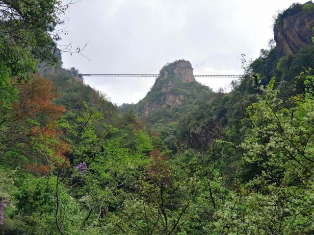 경대선곡