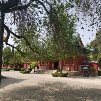 評論圖片 7