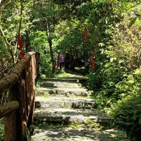 評論圖片 8
