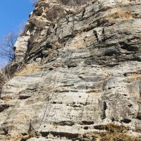 評論圖片 8
